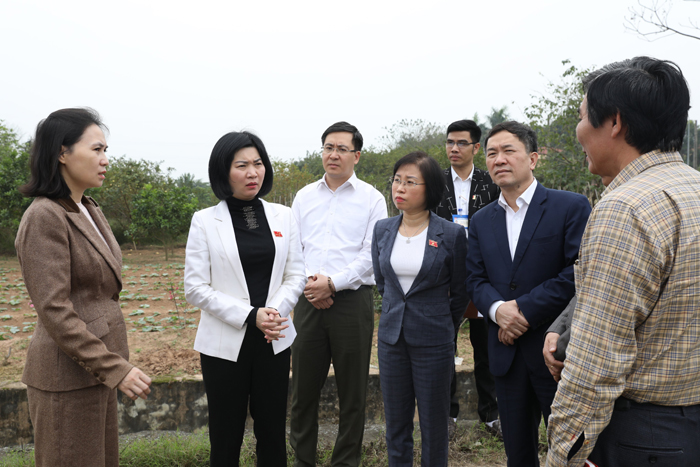Khảo sát tiến độ triển khai Dự án đầu tư xây dựng đường Vành đai 4 tại Hà Đông, Thanh Oai